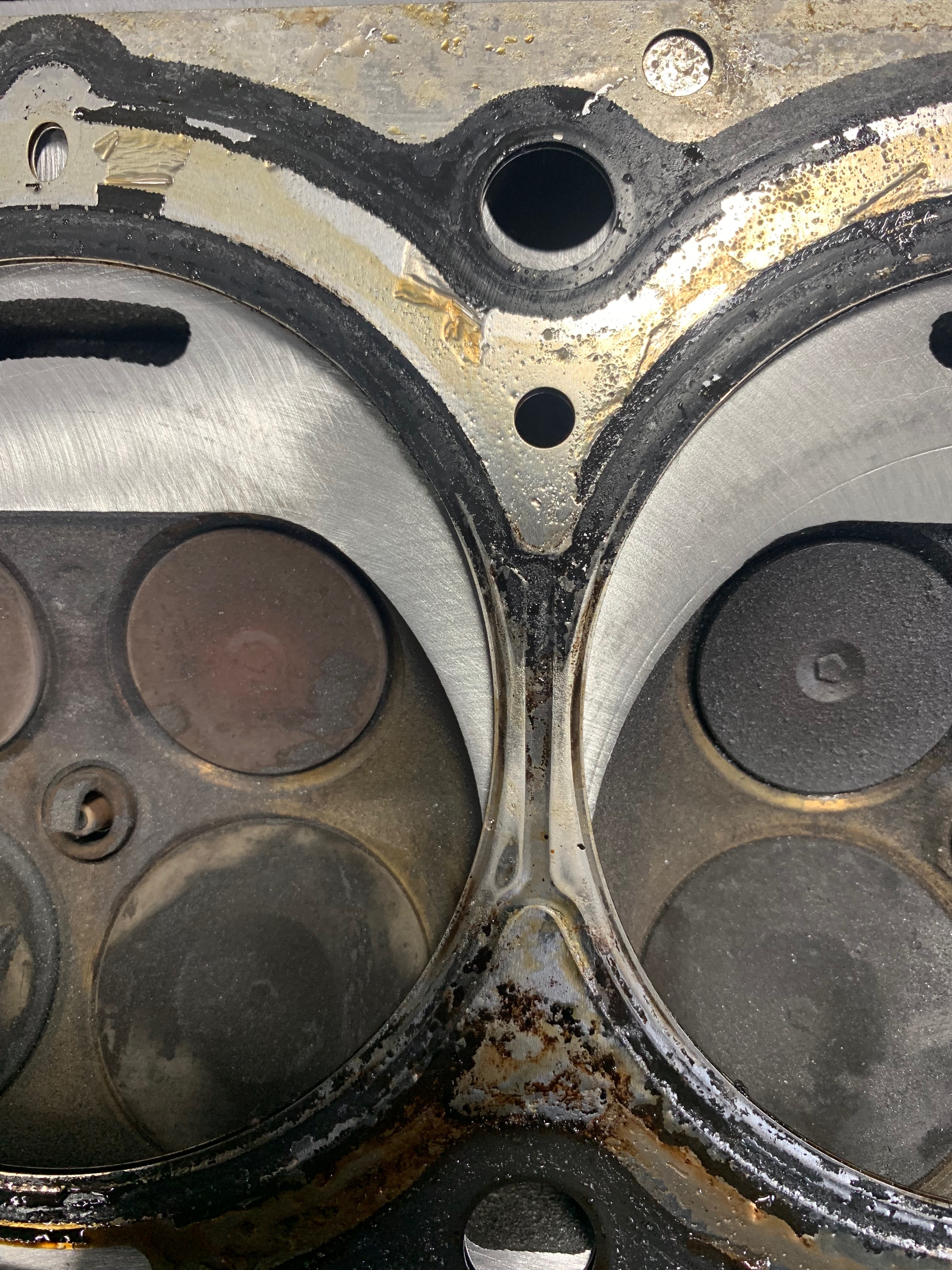 Lance Update!!  OMG!!  It’s Happening!!