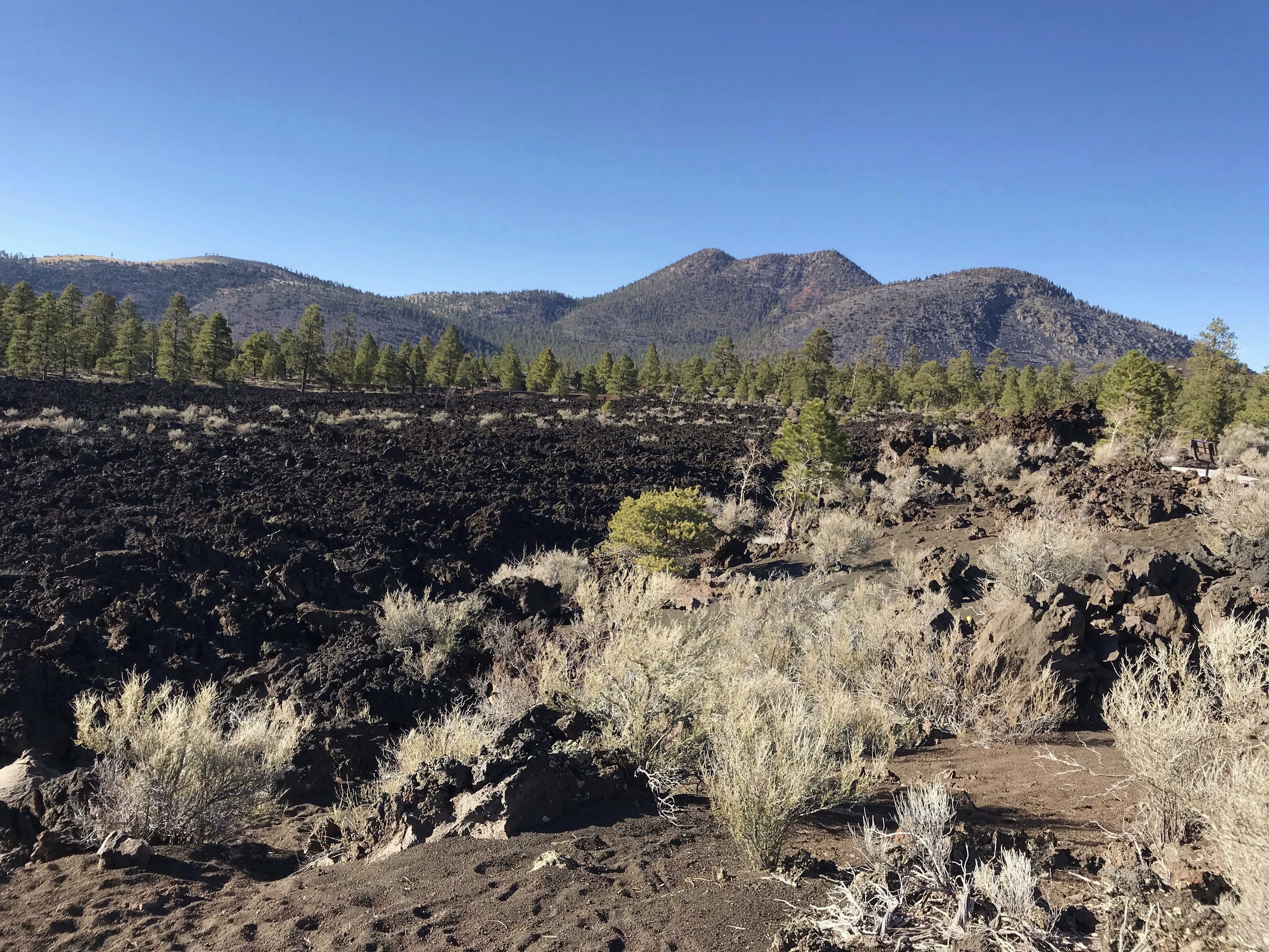 Sunset Crater Volcano National Monument