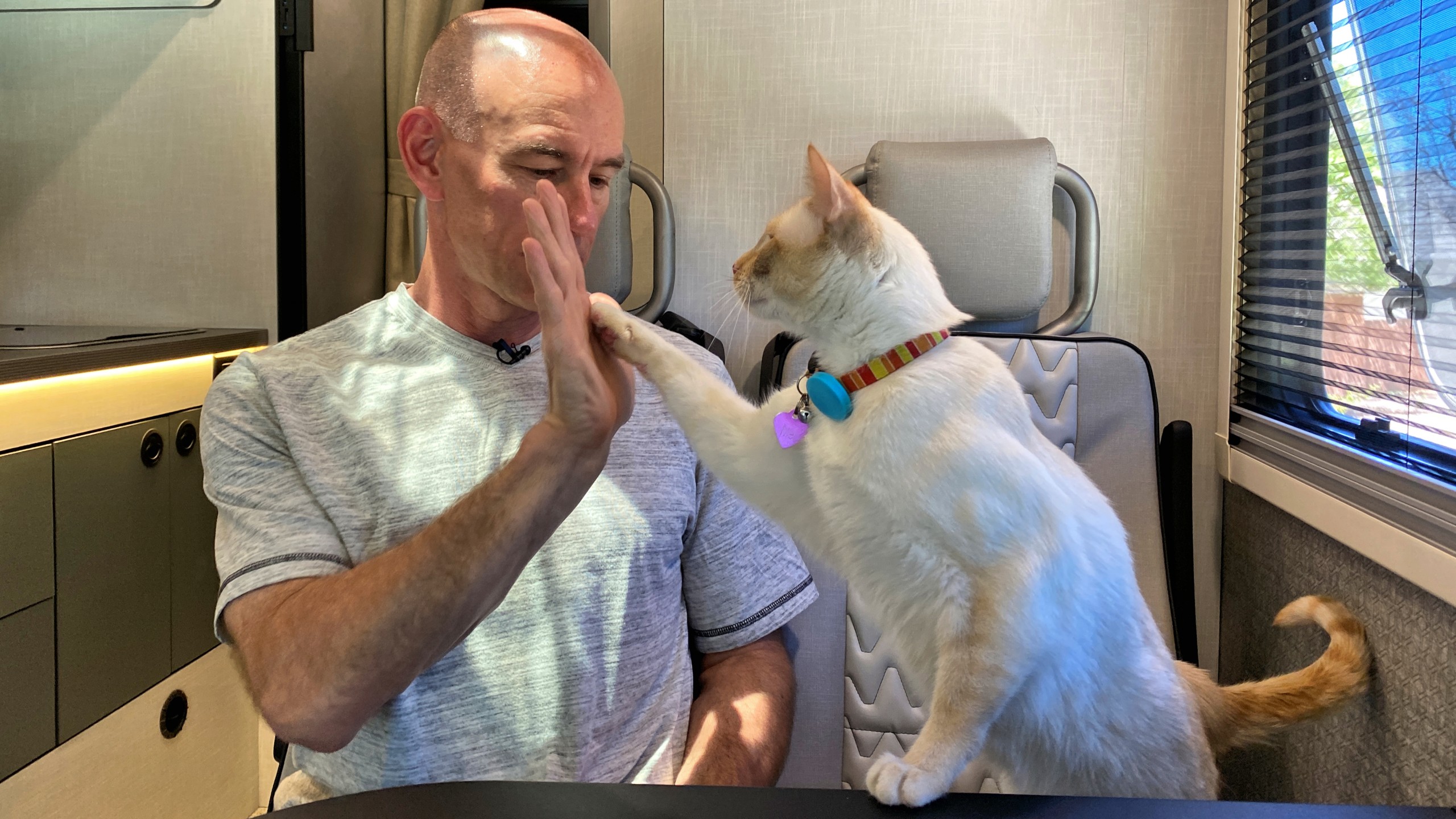 Adding an RV Cat Door – Mel’s Private Restroom!