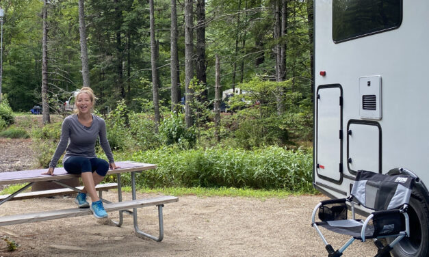 The Picnic Table Workout: No Gym, No Problem!