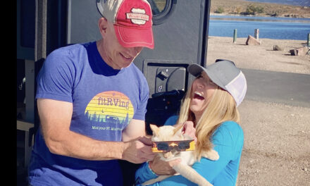 A Video Look at the Annular Eclipse 2023!