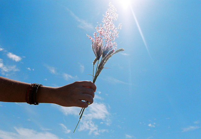 Health Benefits of Sunlight: Get out of your RV!