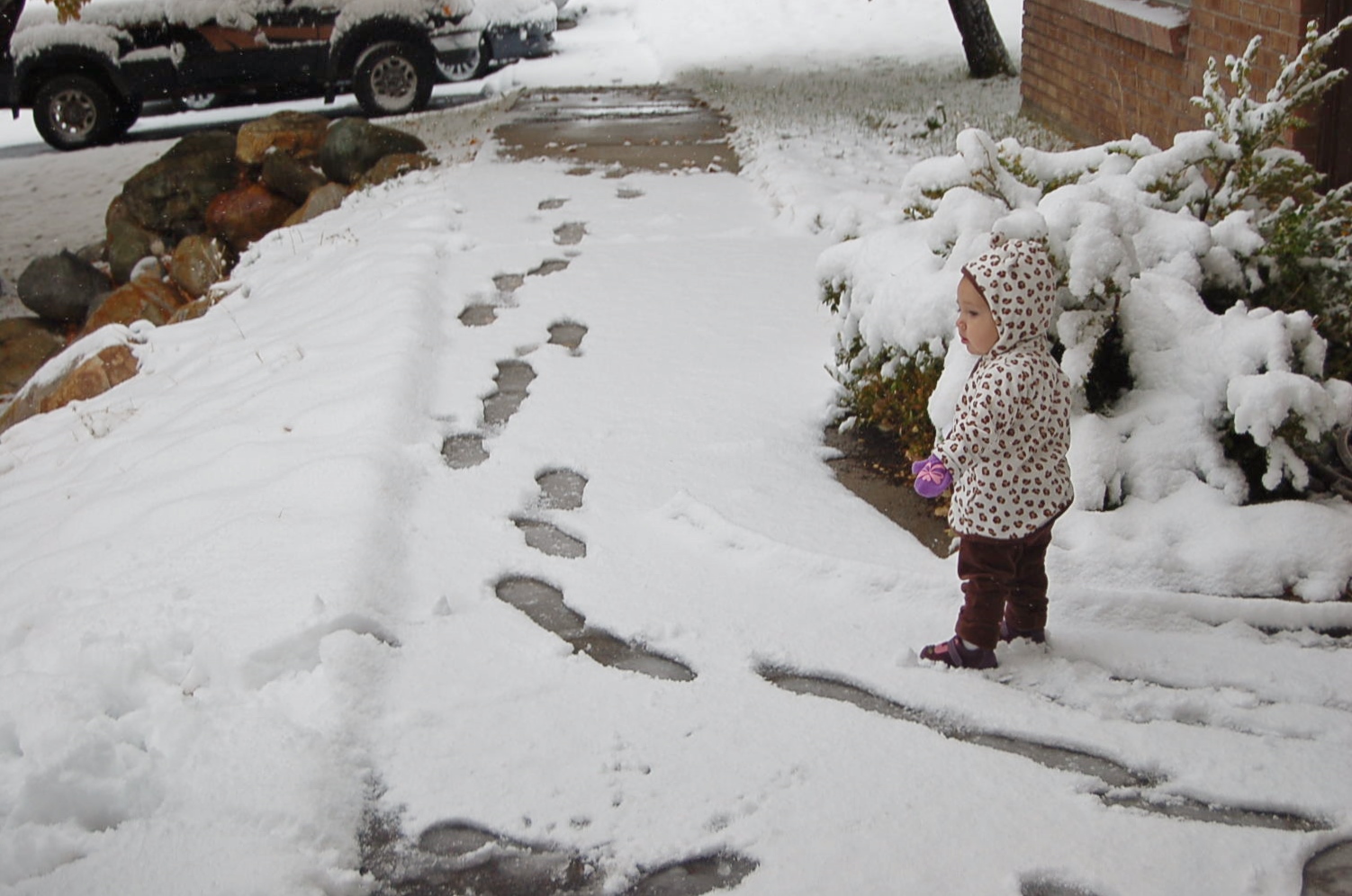 I can’t take it anymore – I’m going to Arizona!