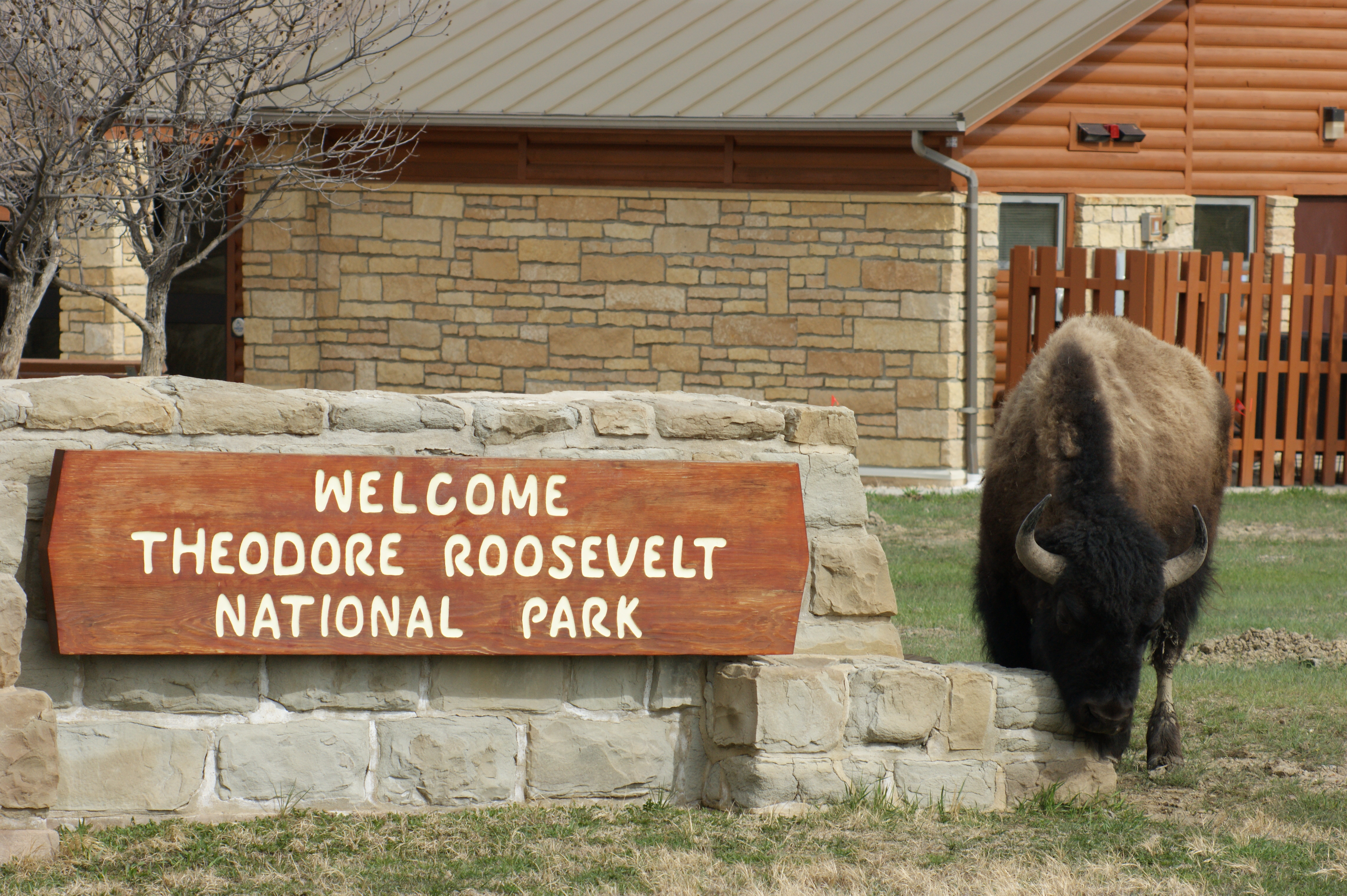 The Most Terrifying Bike Ride Ever – By Stef