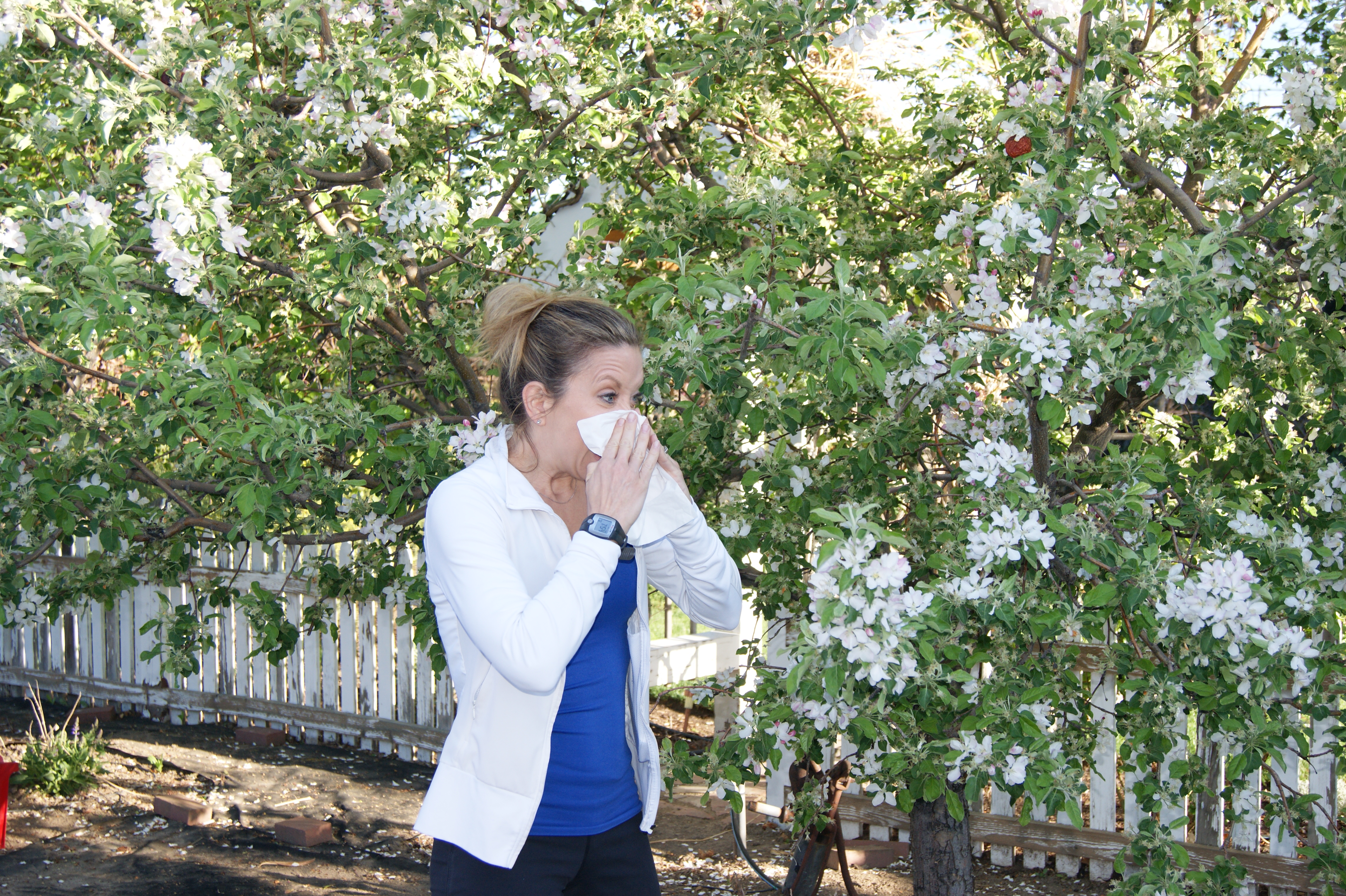 Springtime Allergy Woes? Foods that help!