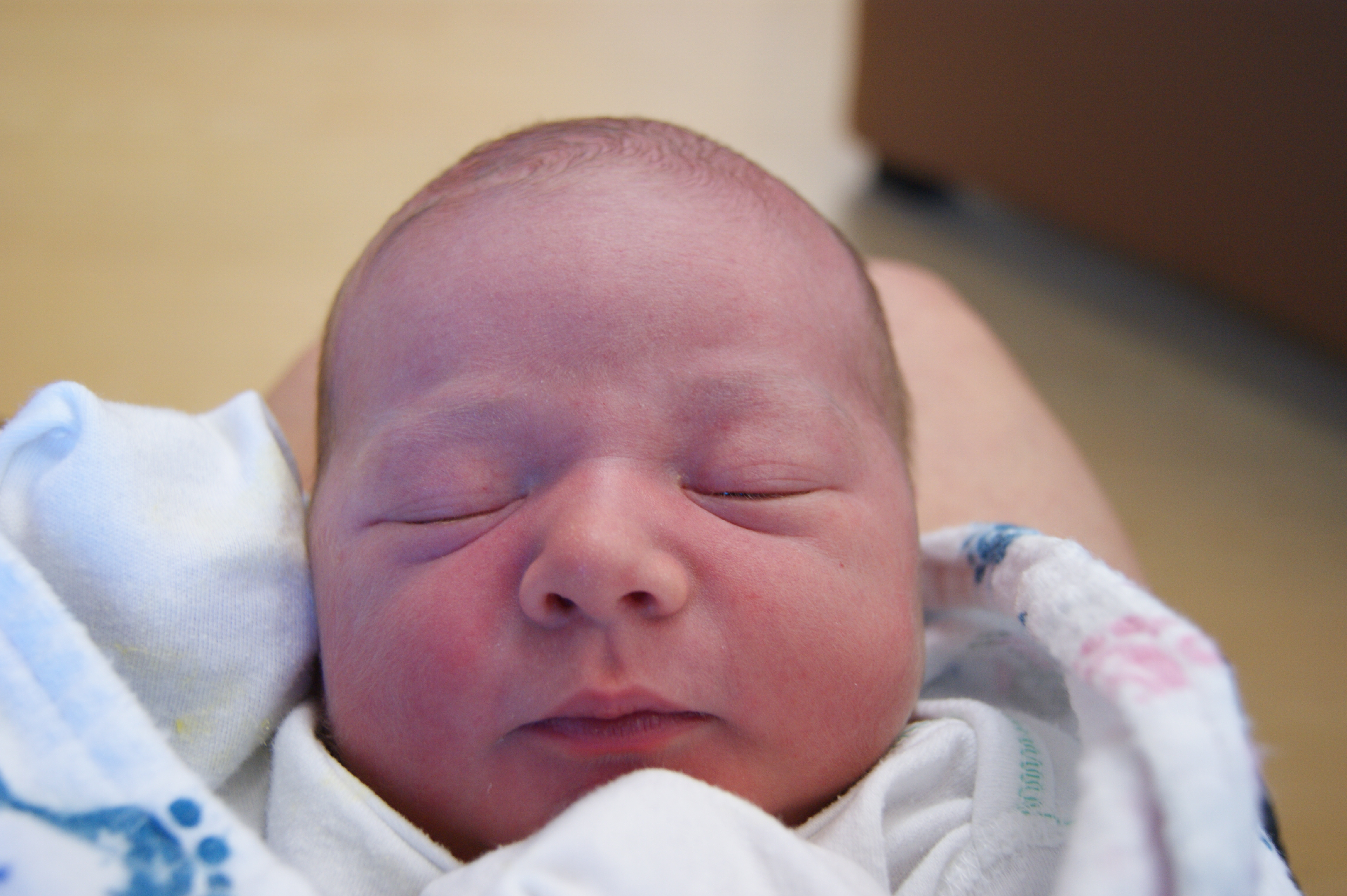 Newest addition to the Fit RV family: Welcome Eli!