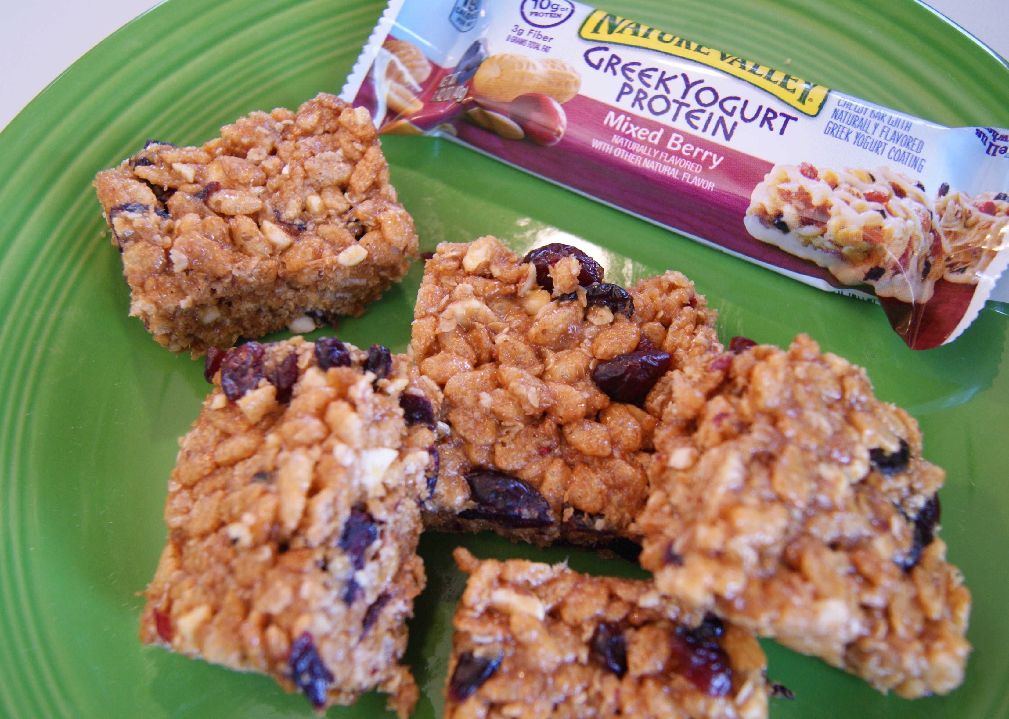 Healthy RV Snacks: Nut Berry Protein Bars