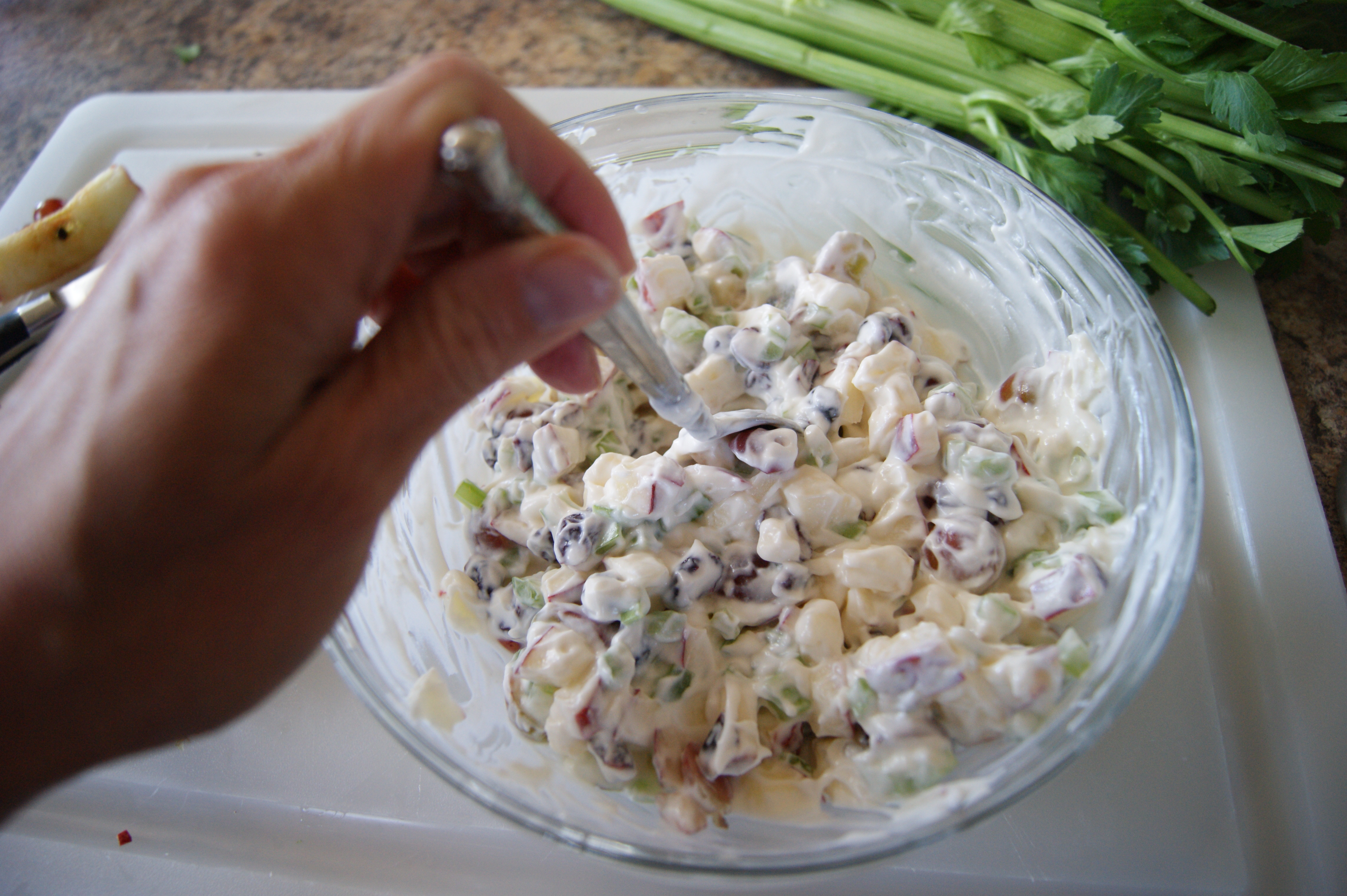 Healthy RV Lunch: Orchard Chicken Salad Recipe & The Microsopic RV Fridge