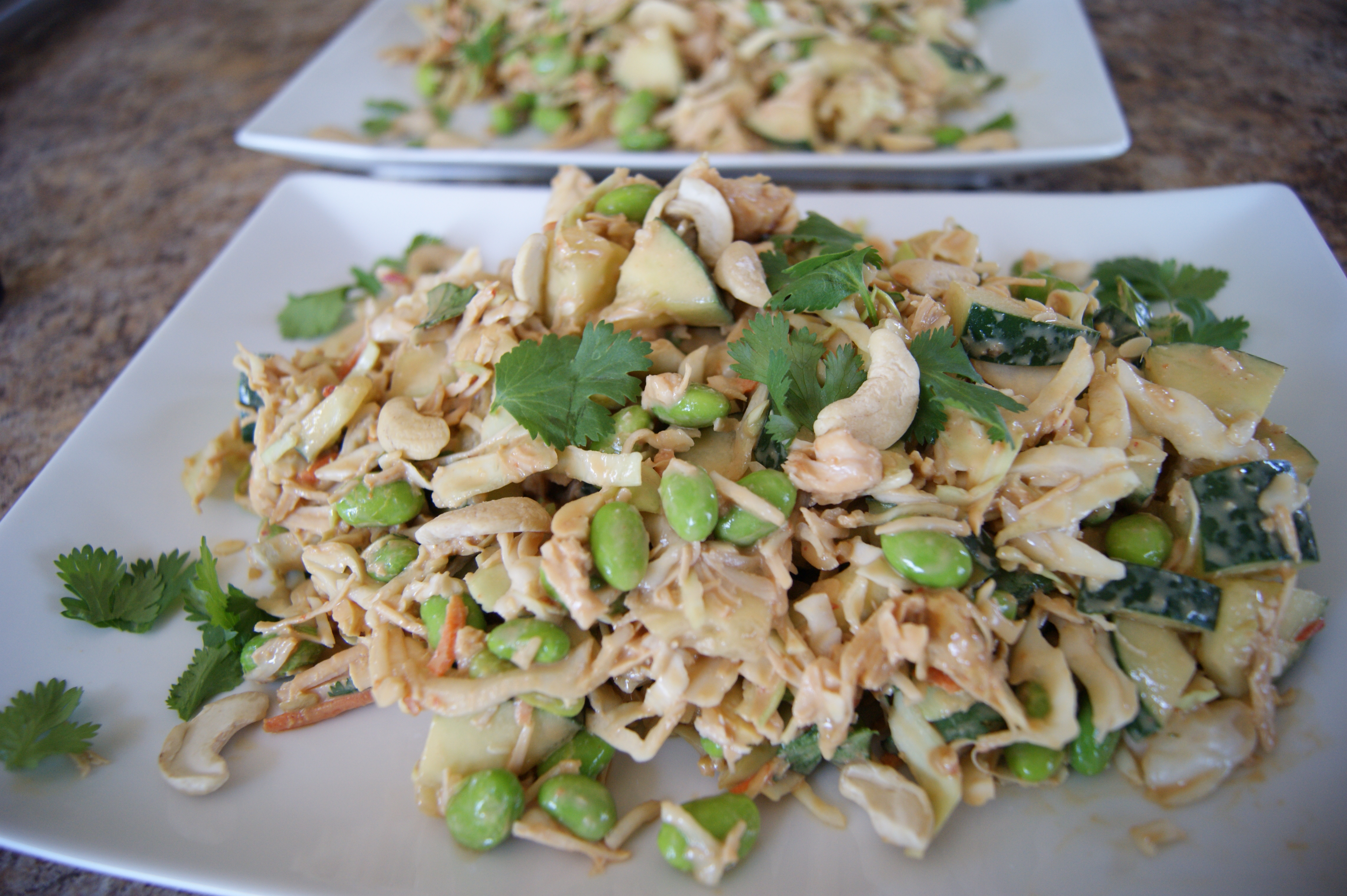 Healthy RV Eating: Thai Chicken Salad Recipe