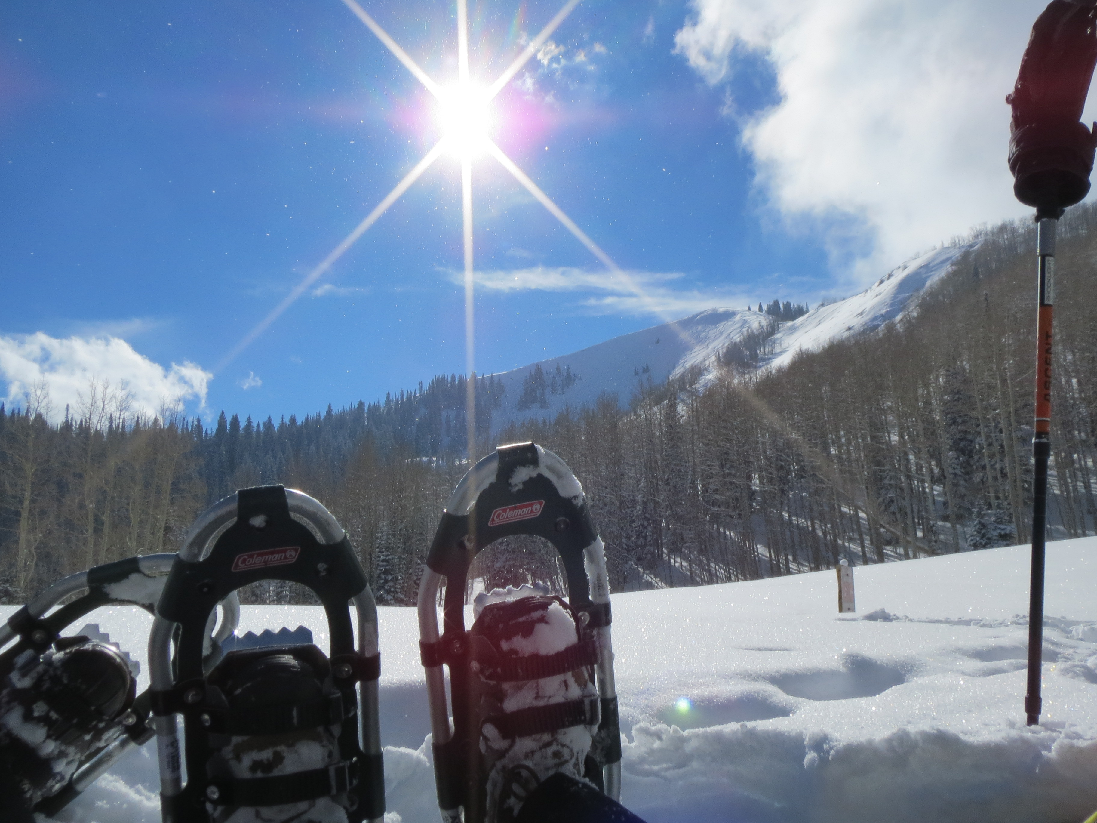 Winter “Fun” In Our Own Backyard
