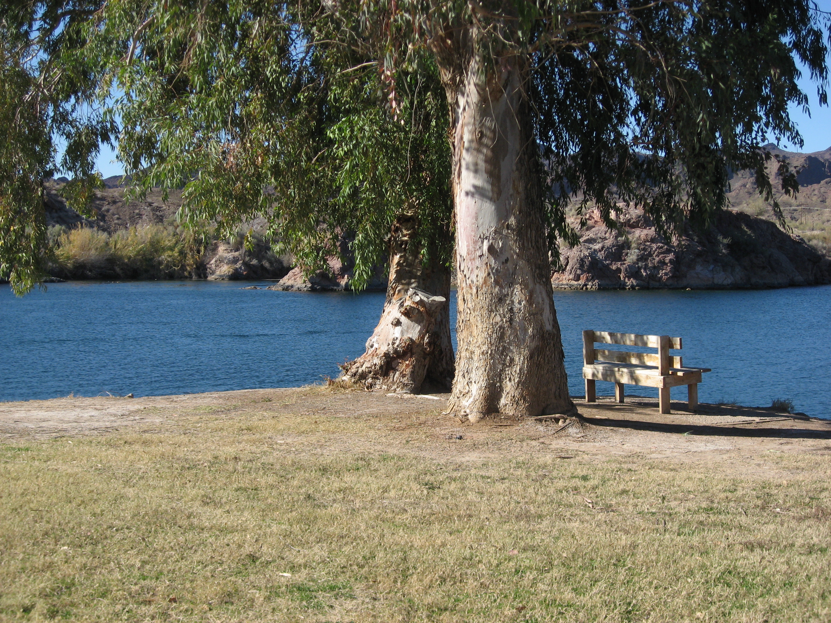 Buckskin Mountain State Park – RV Park Review