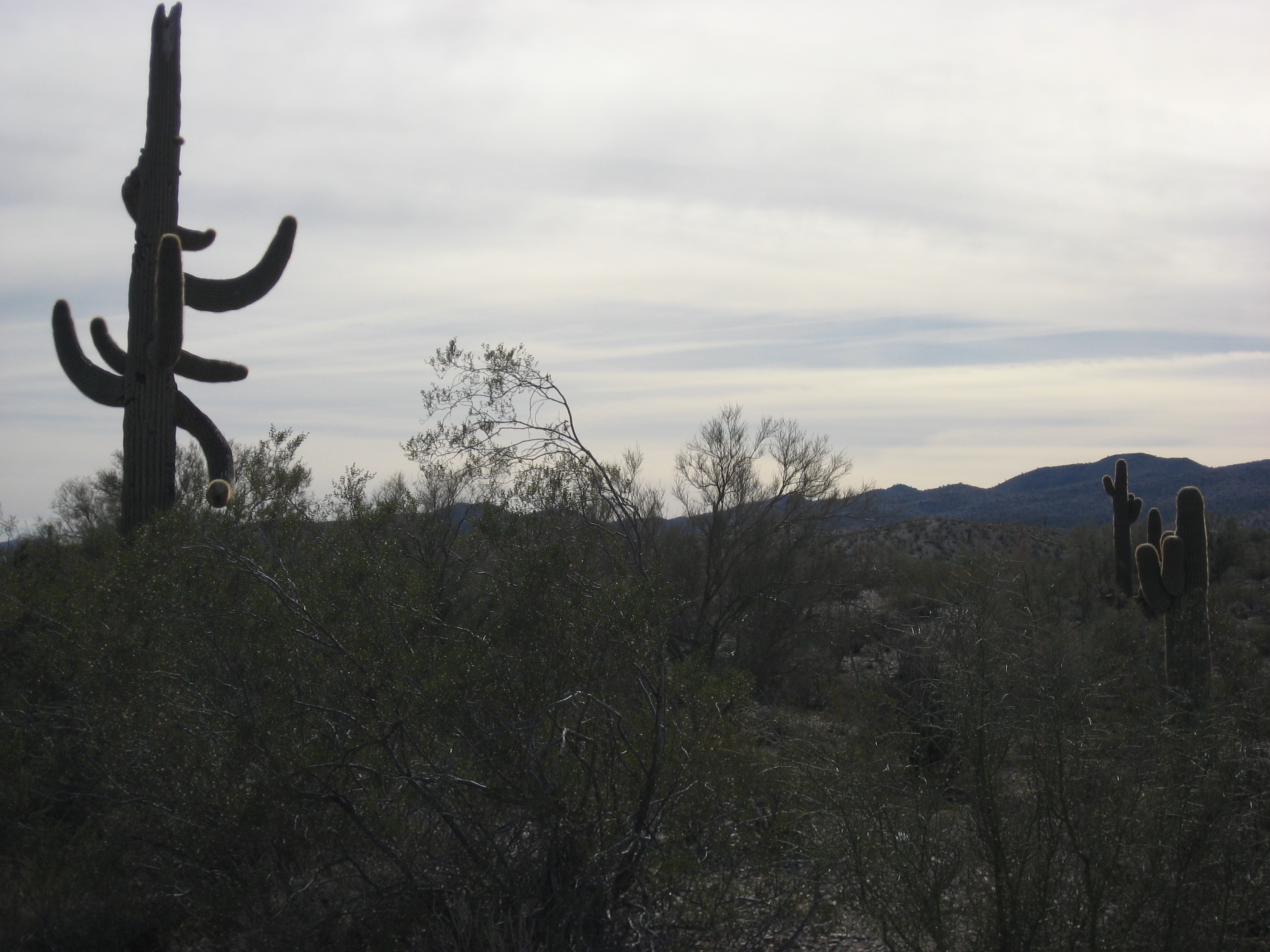 Alamo Lake State Park, AZ – RV Park Review