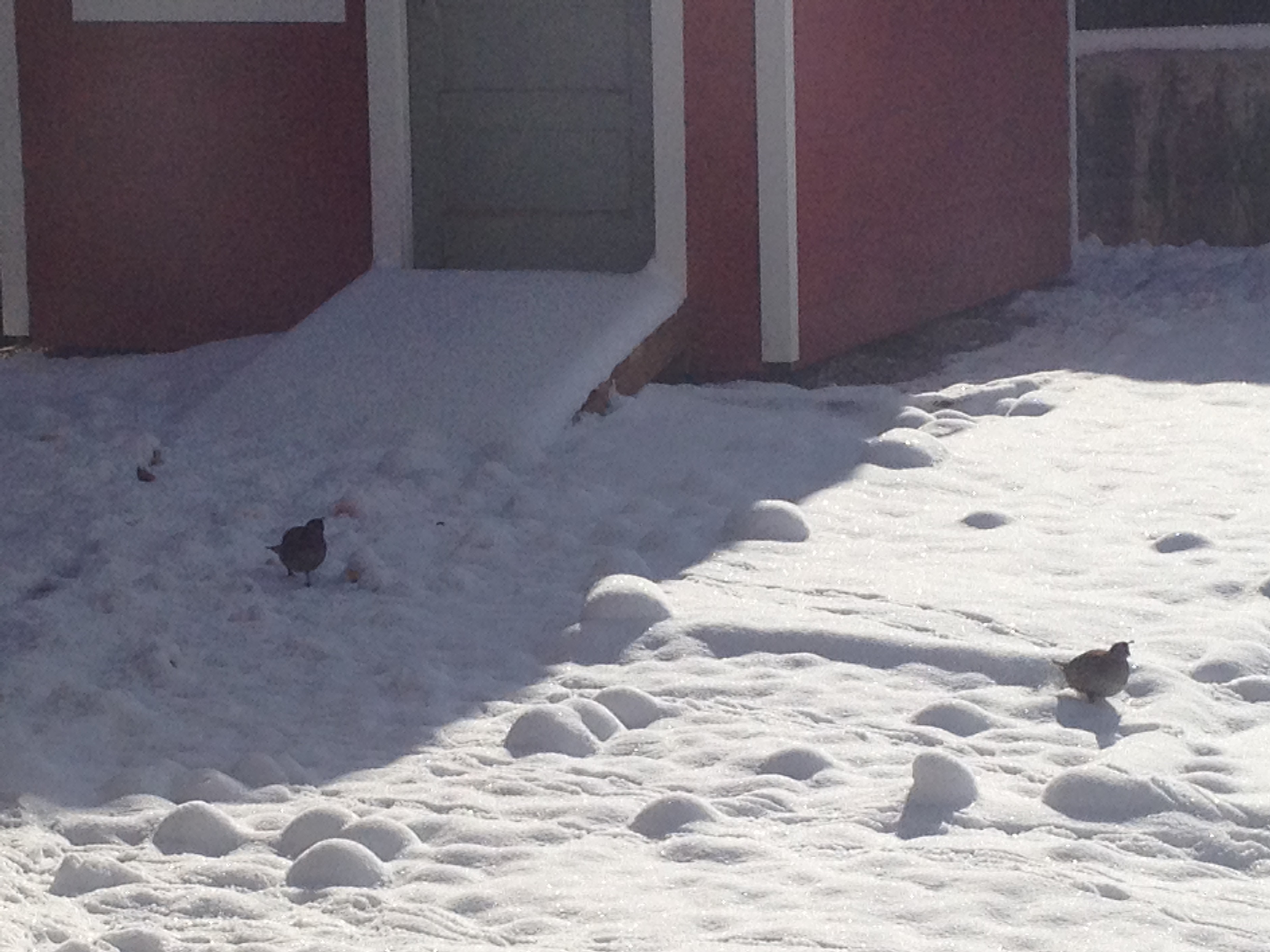 He’s still not writing about RVs