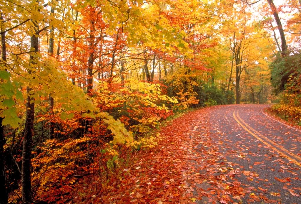 Welcome Fall: A Change of Seasons. A Fresh Start.